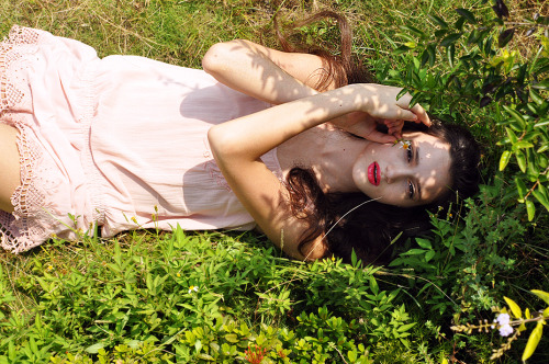 My gorgeous little bambie Terezka laying in the grass with all the beauty that nature brings &lt