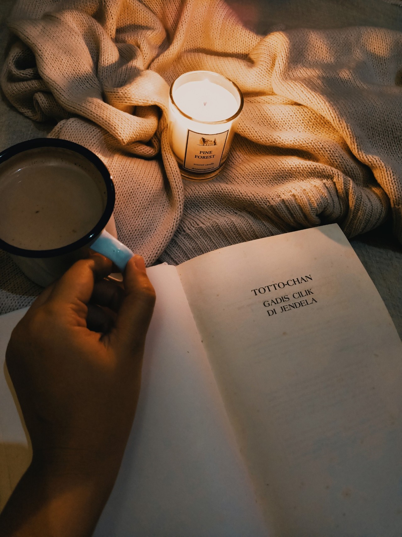books on tumblr — Cozy night reading 🌛