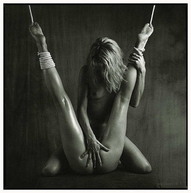 The Mind of a Kinky Kitty