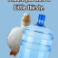 quinnchyourthirst