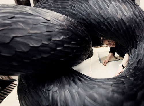 asylum-art: Incredible Bird Feather Sculptures By Kate MccGwire Widely-renowned British artist Kate 