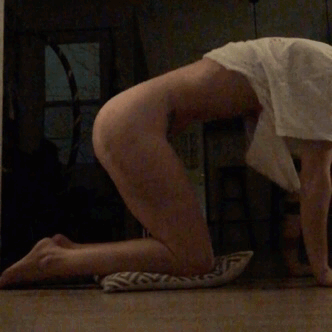 camdamage:Nightly stretch time 🐈🐄