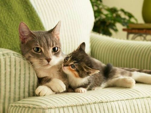 via as-cosy-as-can-be.tumblr.com
