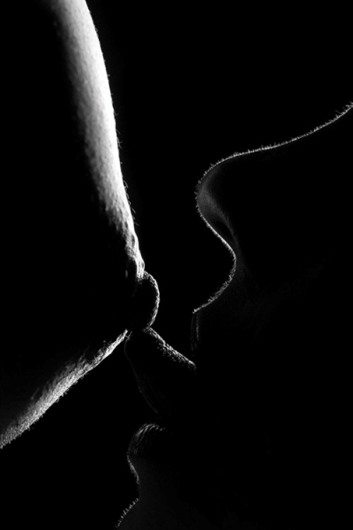 les-cahiers-secrets:  Contact