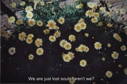 Harmonic-Motion:  Timbllr:from Weheartit   We’re Just Two Lost Souls Swimming In