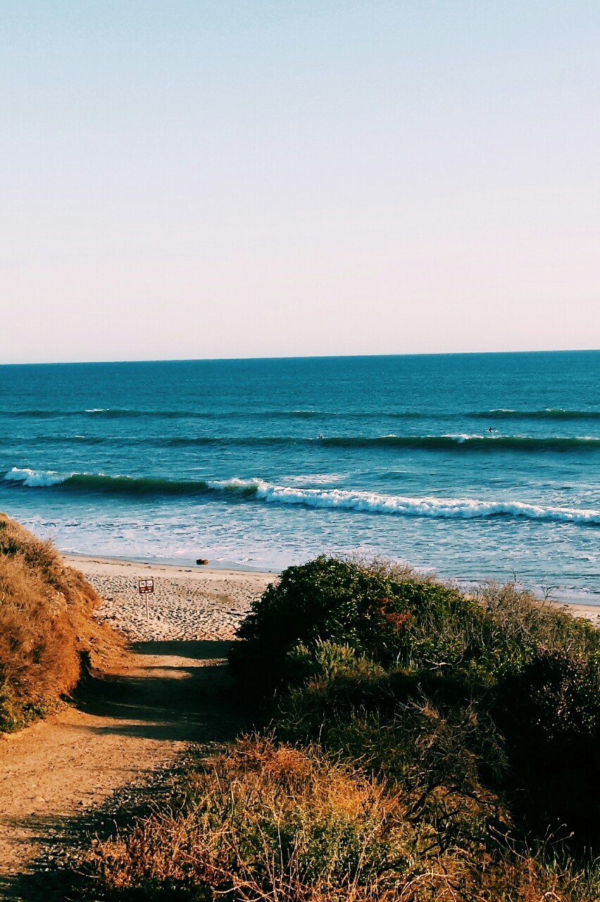 surfursparadise:  ☀☀