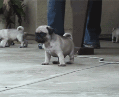 lidianeisonfire:  bABY 