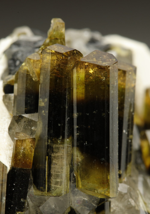 Minerals, Crystals & Fossils