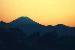 cederikleeuwe:Mt. Fuji, seen from my first apartment near Nishi-Shinjuku gochome station.(Tokyo, March 2010)