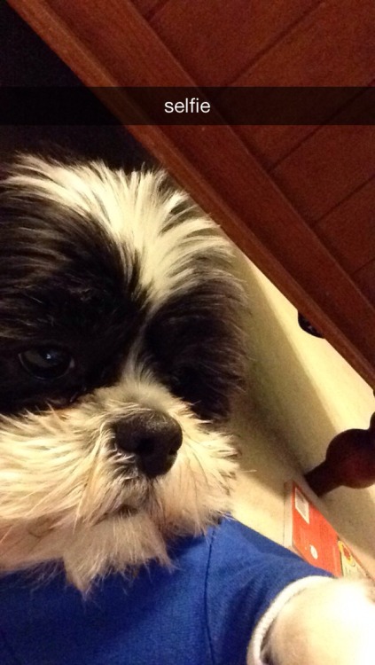 communistbakery:  haha sorry guys my dog got my phone