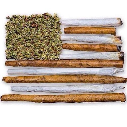 str8–beauty–:  weather-underground:  burn it  Legalize it!
