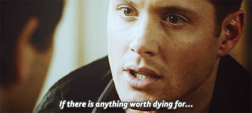 habitatfordeanwinchester:  “We’ve been through much together, you and I.”