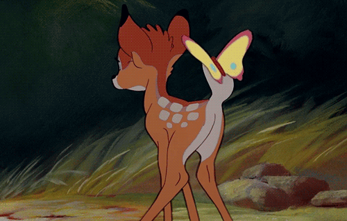 Disney Appreciation