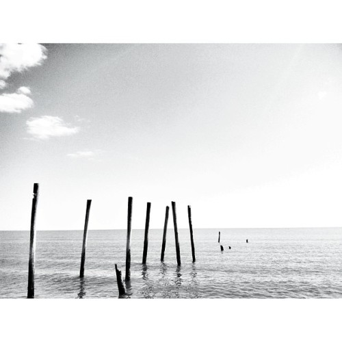 ‘Being alone doesn’t always mean you are lonely.’ (at 59th St. Beach)