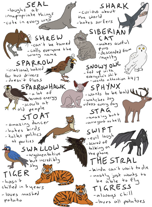 fleamontpotter: click to make bigger!!!  THIS IS SO LONG i’ve literally included every an