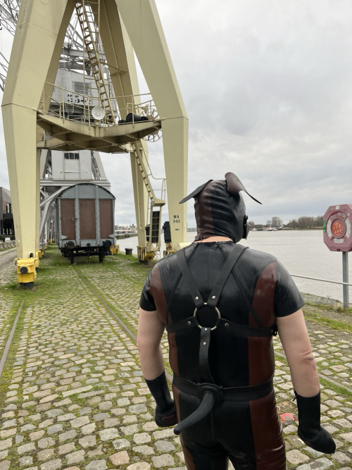 Darklands Day 2 - Part 2/1Fluttering Ears Due To Strong Wind
