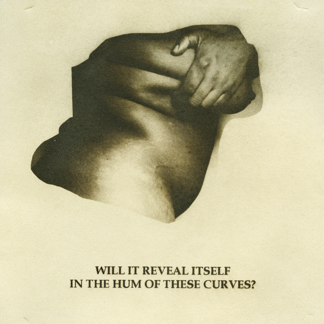 shala-miller:  Asking About Desire, 2015 gum bichromate prints and kallitypes 