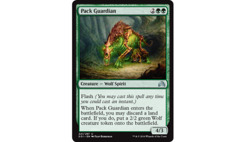 Pack Guardian || Filip Burburan