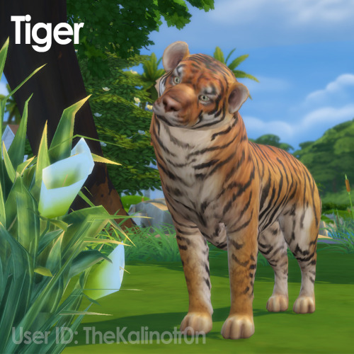 Tiger Bai - The Sims 4 Sims / Households - CurseForge