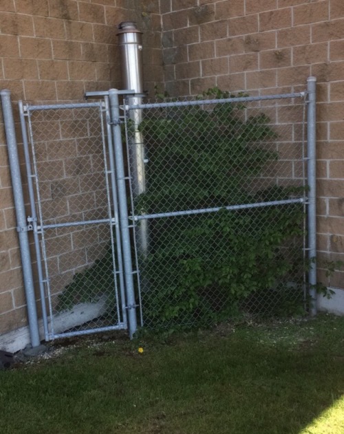 thegooddarius:claimed-clams:fartgallery:what crime did this tree commit to be put in tree jailTreeso