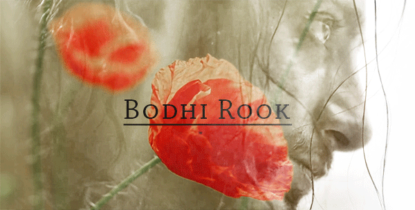 dasakuryo: Rogue One + Elements of Nature  {Bodhi Rook} Blossom // {Cassian Andor}