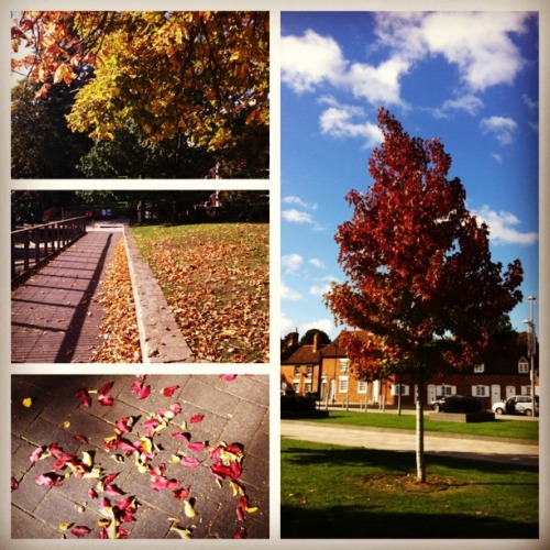 chocolatequeennk: Autumn in Stratford-upon-Avon