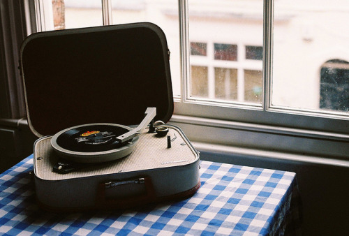 iguanid:  untitled by :: K a t e :: on Flickr. 
