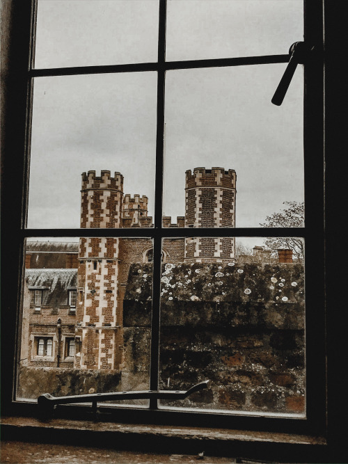 winter views from my friend’s window —ig: studyplants