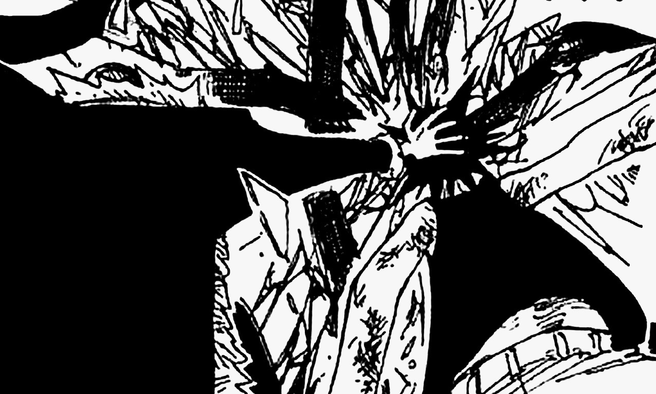 zorobae:chapter 225This scene is one of the many examples that show the blatant understanding