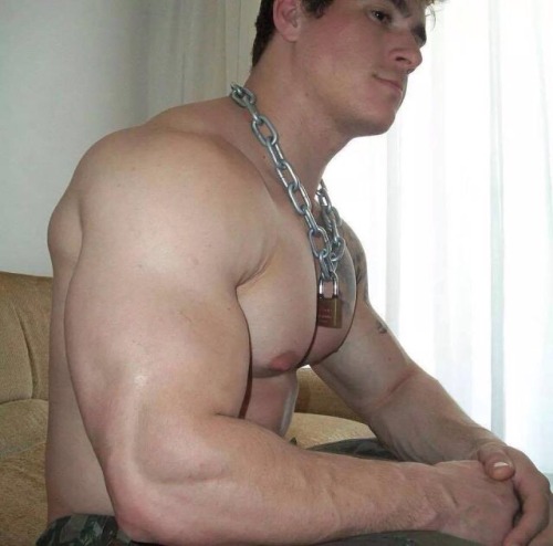 skhole2use:  The bigger they come, the harder they fall…ain’t that right faggot? 