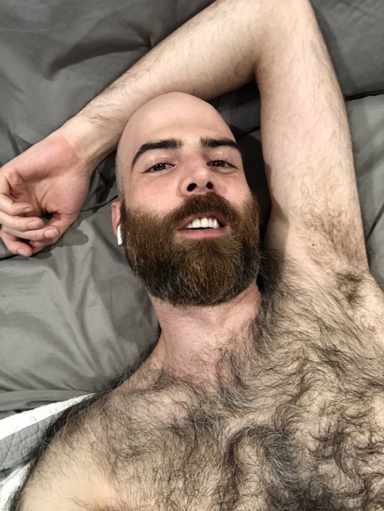 beardburnme2:  PiggyOtter Twitter  