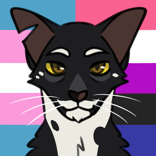 berrym00n:pride batch #7trans genderfluid tallstar, lesbian dovewing, nonbinary crookedstargay man t