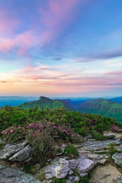 travelgurus:Stunning View from Hawksbill Mountain, Linville Gorge Wilderness by M. Kight            