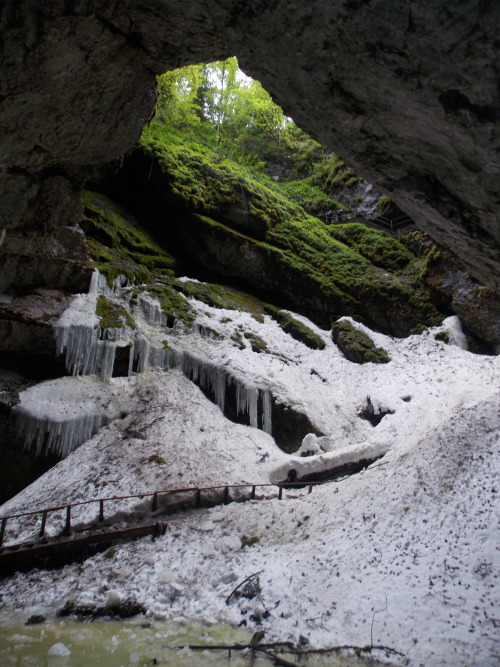 Scărișoara Ice Cave, Apuseni Mountains / Romania.