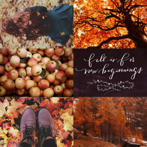wingedwolves:  inspiration for autumn 
