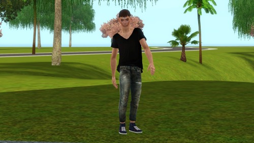 male sim