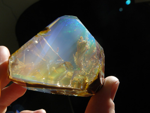 opticallyaroused: Crazy Beautiful Opal
