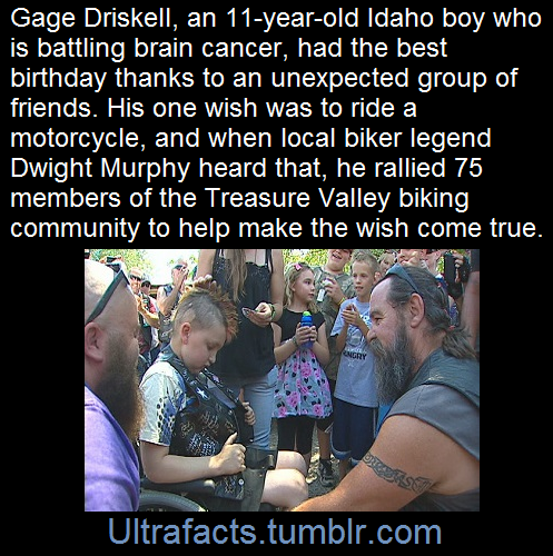 ultrafacts:  Source For more facts, follow Ultrafacts