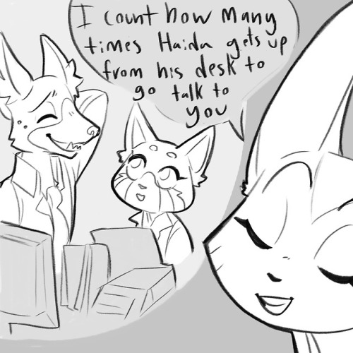 retsuko-fenneko: saltyocs: I keep seeing people compare Haida &amp; Retsuko to Jim &amp; Pam