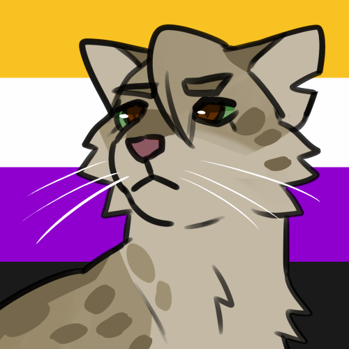 berrym00n: pride batch #5asexual twigbranch, lesbian dawnpelt, nonbinary olivenosearoace / lesbian f