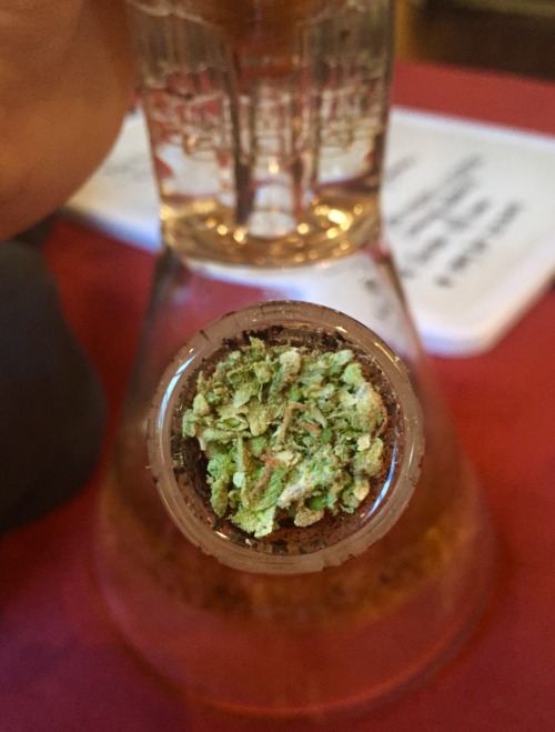 blow-dro-getweird:  Afternoon salad. 🍃🍂🍀  Blue dream + sour diesel 
