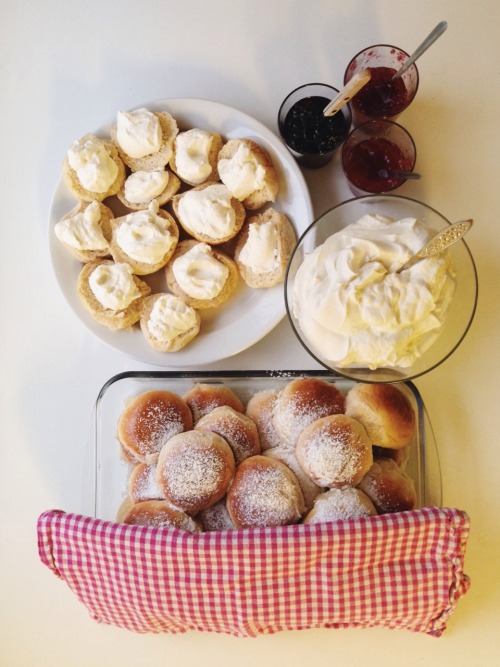 ryancaven:Life is good, because when it’s a Norwegian holiday, my friends make food like this.