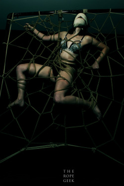 thebeautyofrope:  rope and photo by TheRopeGeekmodel:  itty-ktty