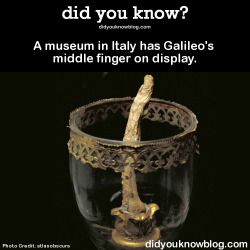 did-you-kno:  A museum in Italy has Galileo’s middle finger on display.  Source 