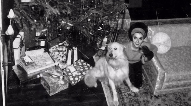 Christmas 1965, at Jay Sebring’s home on Easton Drive. Sharon and Jay began dating in 1964 and she moved into his home 