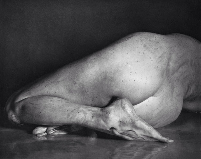 ilpianobi:  Hermann Forsterling ph. frames/bodies 