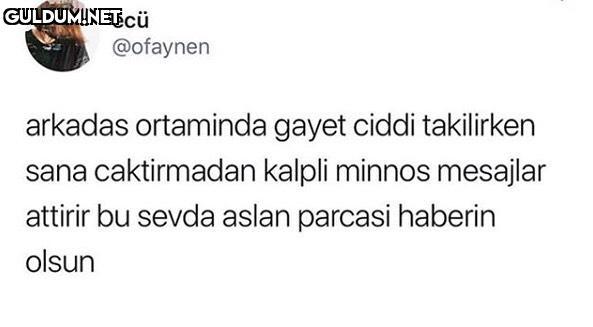 ecü @ofaynen arkadas...