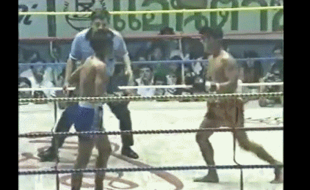 itkicksallbyitself:  Spinning Back Elbow  right.