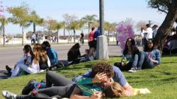 futubandera:  así veo a las parejas en las plazas cuando se tiran en el pasto mandriles culiaos pd : cuando tenga mina nos veremos mas bonitos 