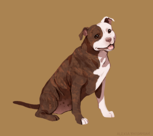 More Doggust illustrations, from left to right top to bottom we have the Pitbull, Bulldog, Finnish L